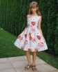 Sukienka dla dziewczynki, na wesele, dresses fot girls, online shop