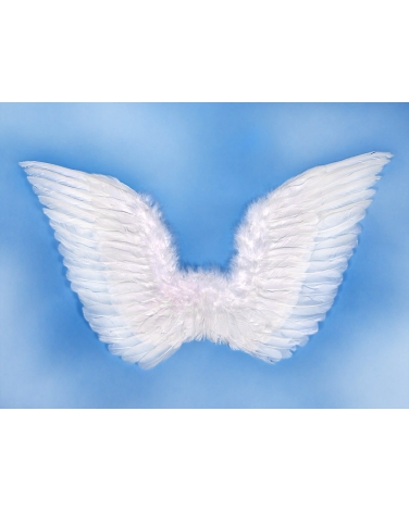 Skrzydła anioła 75 x 45cm DEK131