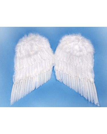 Skrzydła anioła 55 x 45cm DEK130