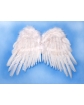Skrzydła anioła 53 x 37 cm DEK132