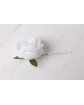Biała wsuwka z dużą różą i listkami WSK040